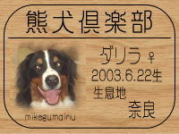 �o�j�_���}�}����̂g�o�ւf�n�I